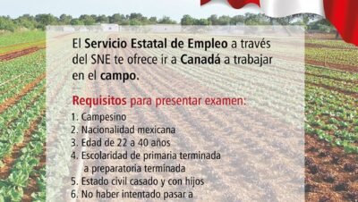 estrategias para requisitos de trabajo en canada